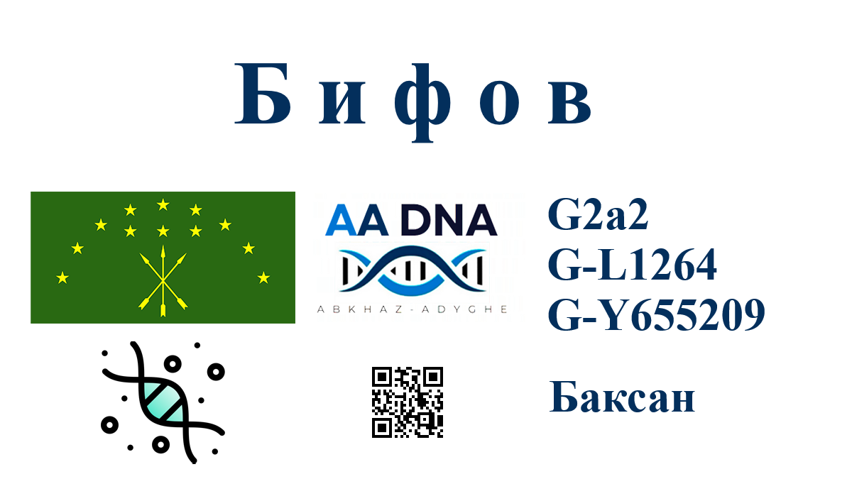 Бифов
