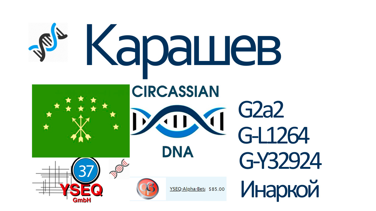 Карашев