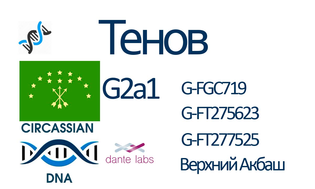 Тенов