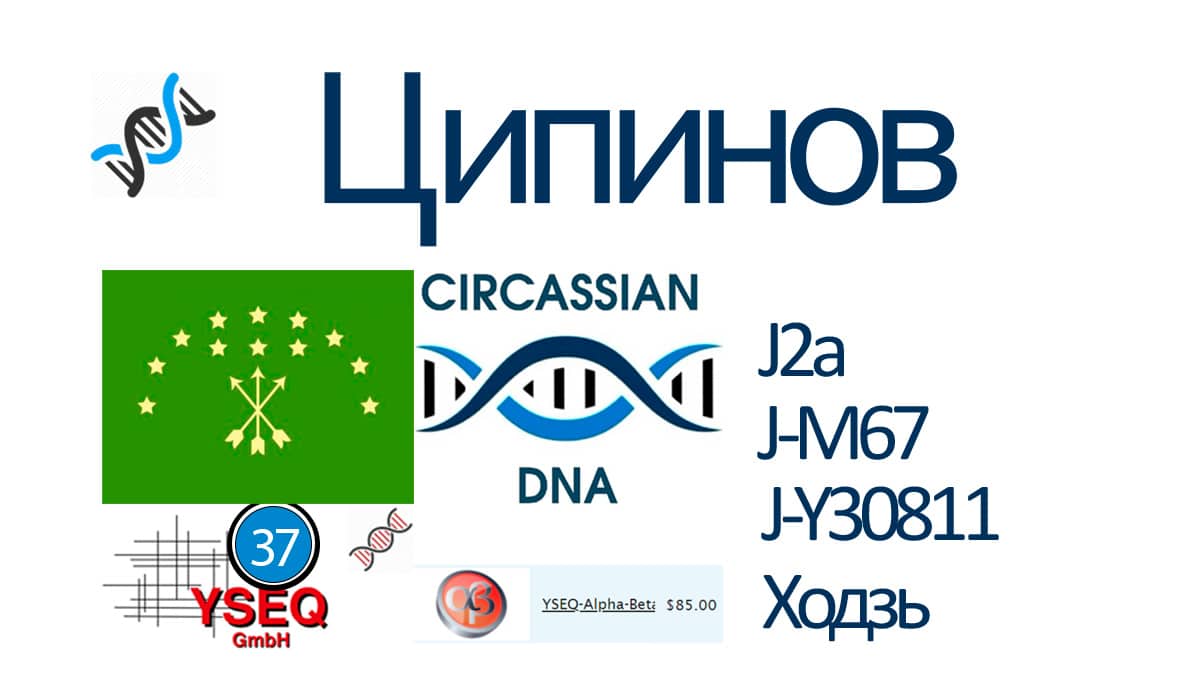 Ципинов