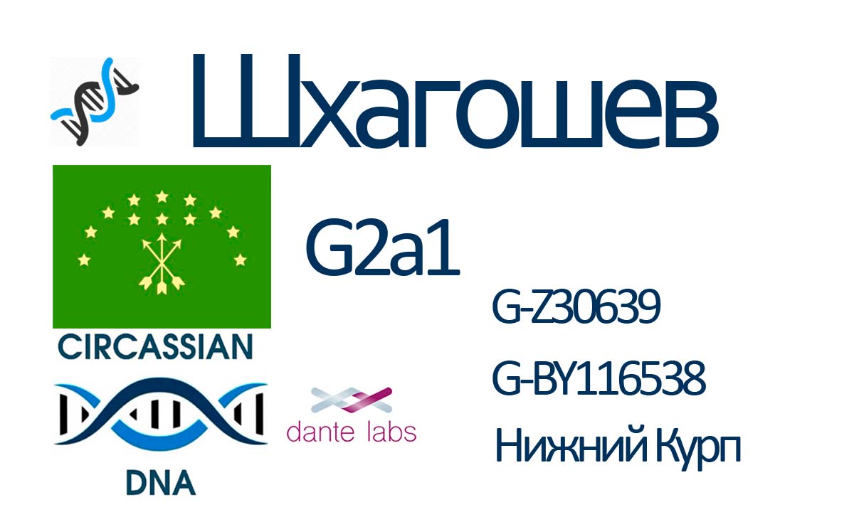Шхагошев