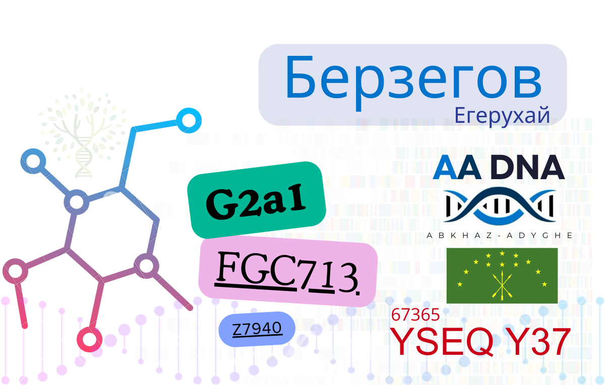 Берзегов
