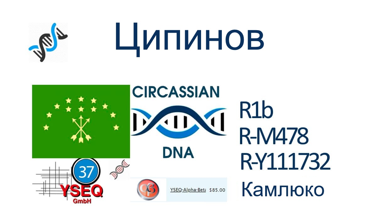 Ципинов