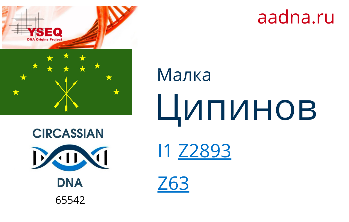 Ципинов