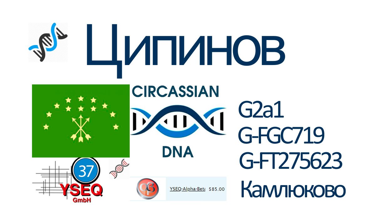 Ципинов