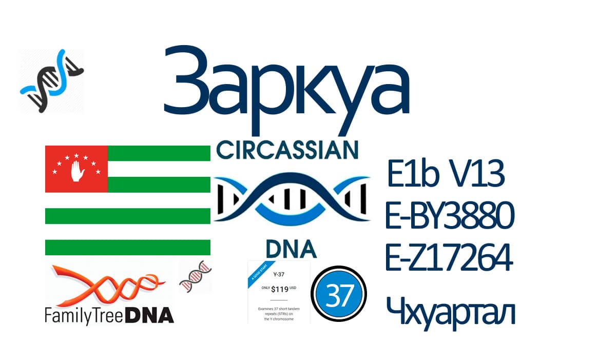 Заркуа
