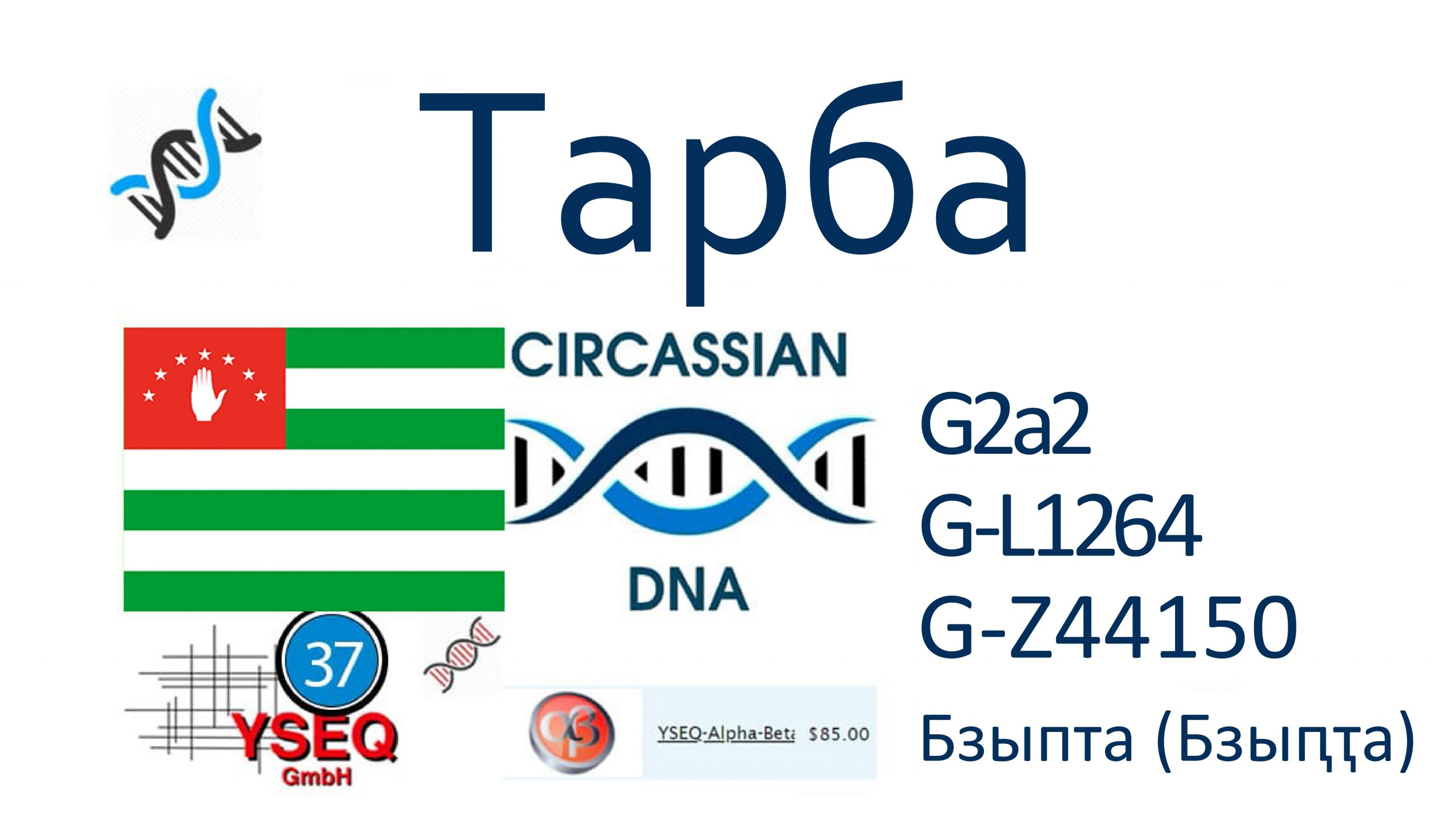Тарба