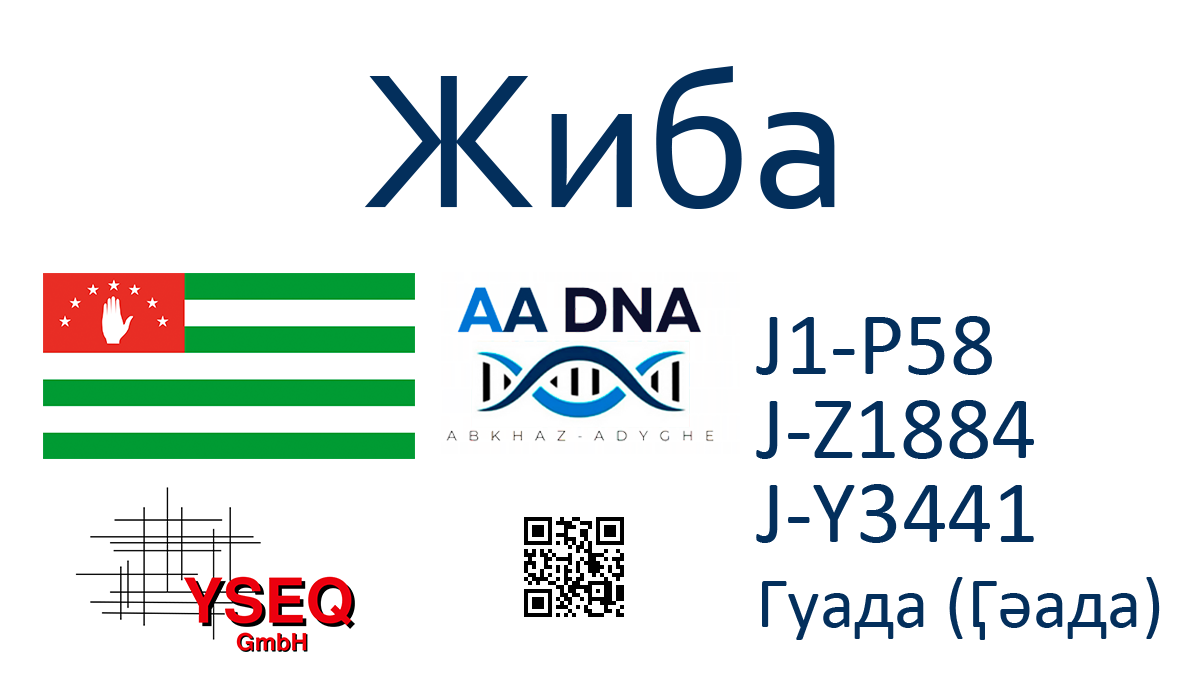 Жиба