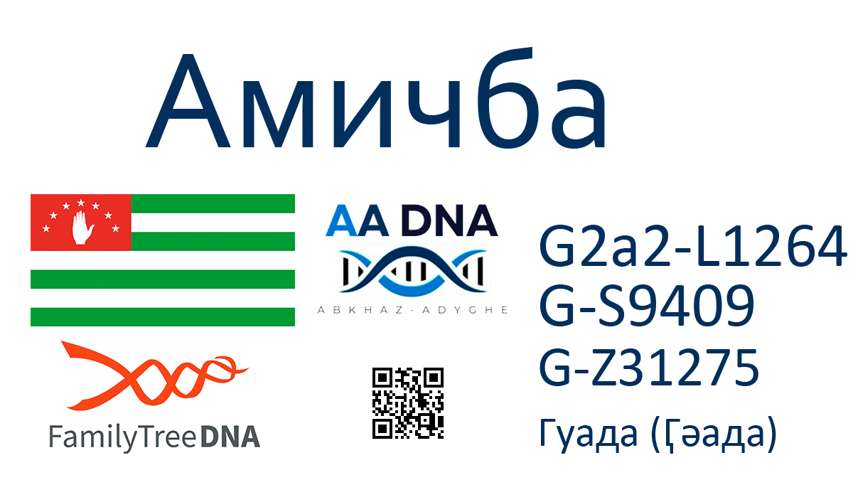Амичба