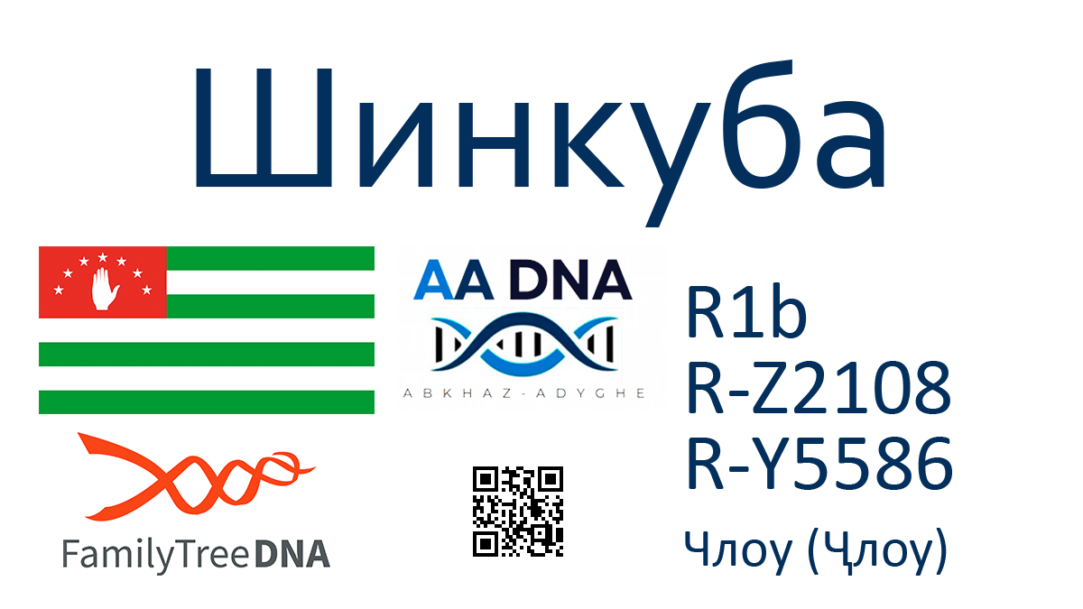 Шинкуба