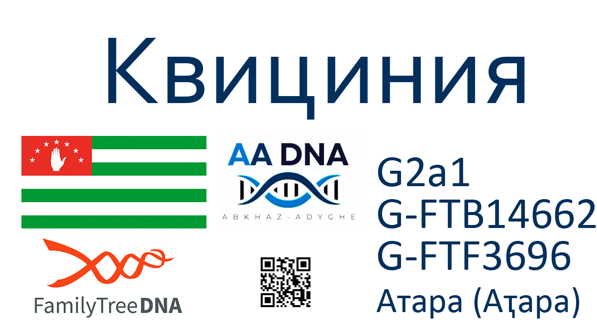 Квициния