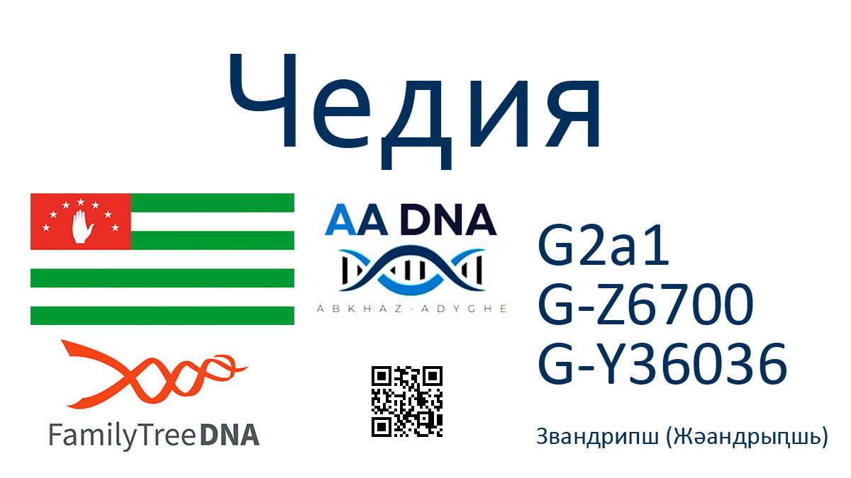 Чедия