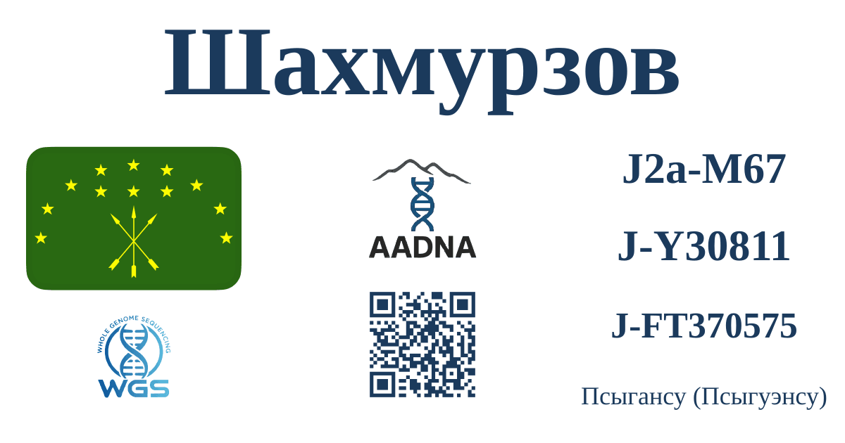 Шахмурзов
